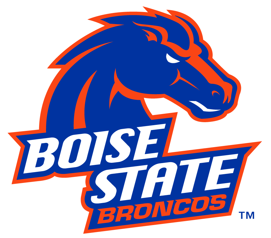 Boise State Broncos 2012-2013 Secondary Logo v2 diy iron on heat transfer